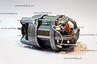 Двигатель для измельчителя зерна ДК 105-370-8ухл4, фото 6