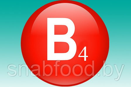 Витамин B4 Холин хлорид 60%