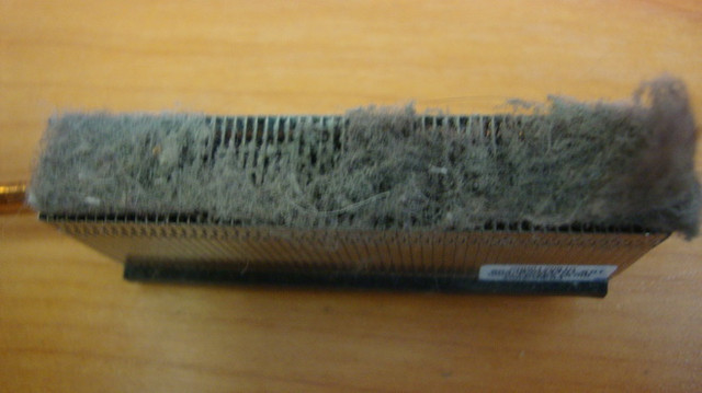 Чистка ноутбуков от пыли в Минске. Дешево! Быстро! Ноутбук перегревается, шумит, выключается. Чистка от пыли