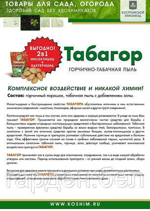 Табагор 1кг, фото 2