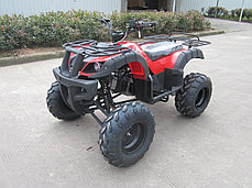 Подростковый квадроцикл ATV 010 LONG 125сс 3+1