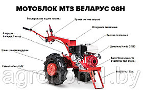 Мотоблок МТЗ Беларус 08Н (13 л.с., ВОМ) с двигателем Honda GX390 + Бонусы!