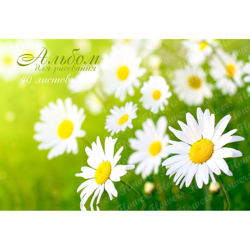Альбом для рисования Beautiful flowers 40 листов (Цена с НДС)