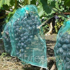 Сетка Белсетка для защиты винограда от ос (10 шт) - фото 2 - id-p101268661