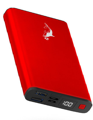 Портативный аккумулятор SKYDOLPHIN SP15 SPARTA SERIES 20000 mAh POWER BANK красный