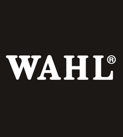 Wahl