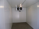 Ремонт и обслуживание холодильных камер, фото 3