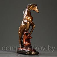 Сувенир "Конь на дыбах" средний, бронза, фото 6