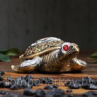 Сувенир "Черепаха" со стразами, малый, фото 3