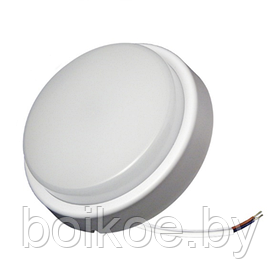 Светильник светодиодный пыле-влагозащищенный Button (8Вт, датчик звука и освещенности)