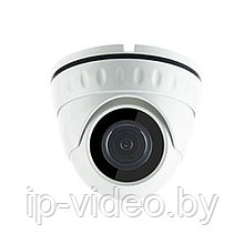 Купольная IP камера Cantonk KIP-130SL20H