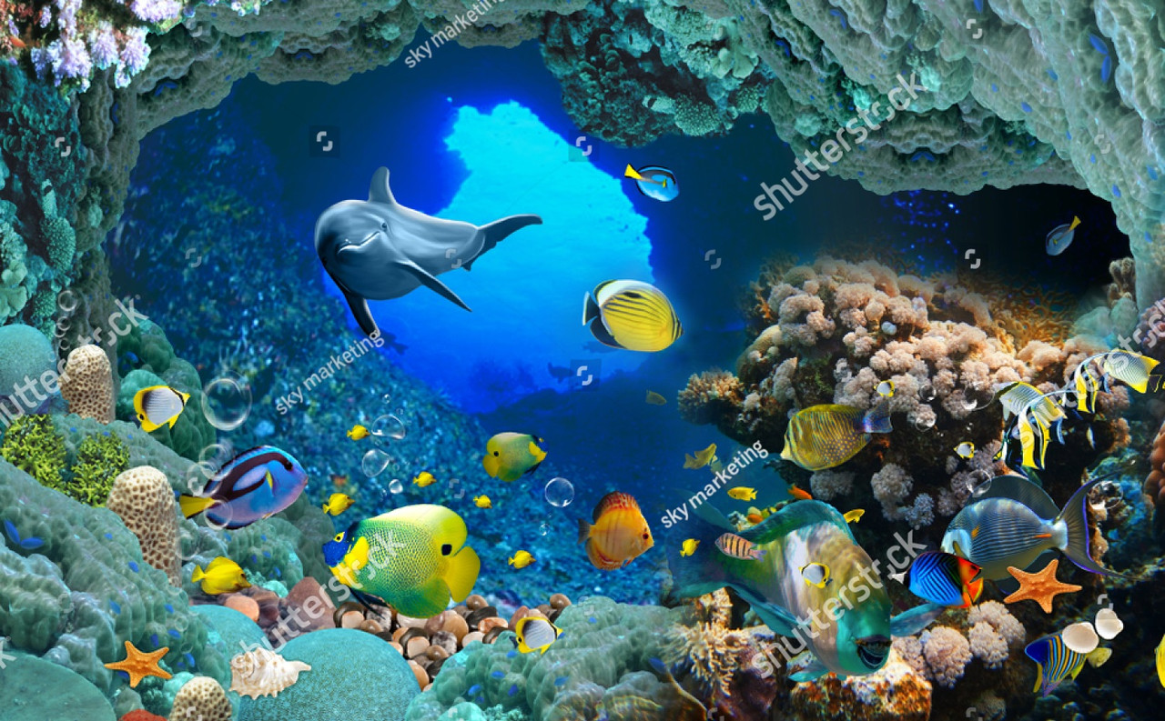 Детские фотообои с изображением дельфина, других рыб и кораллы под водой.