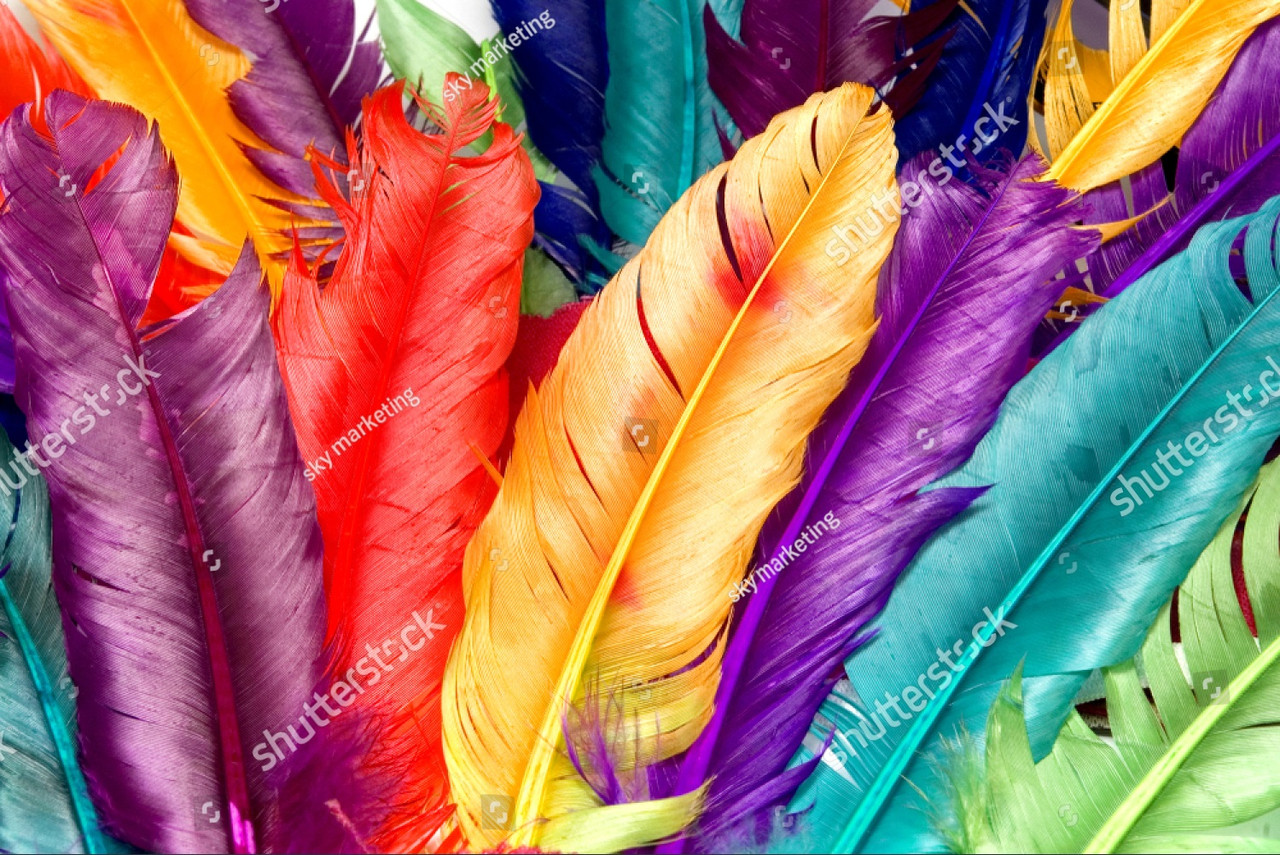 Декоративные фотообои с изображением разноцветных ярких перьев