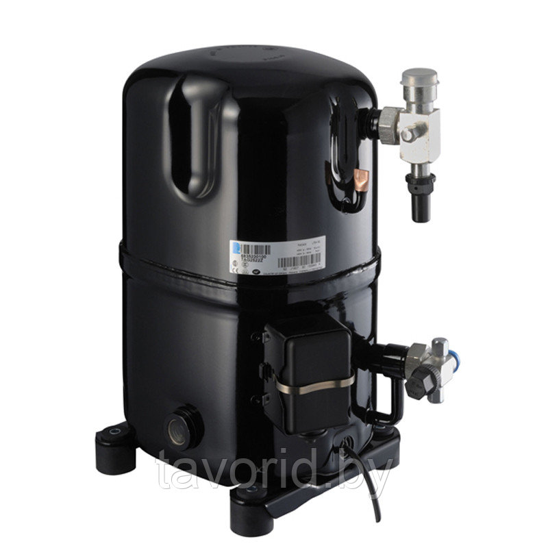 Компрессор герметичный Tecumseh TAJ9513T _F1 T TU
