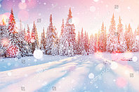Фотообои с изображением зимнего леса в лучах солнца