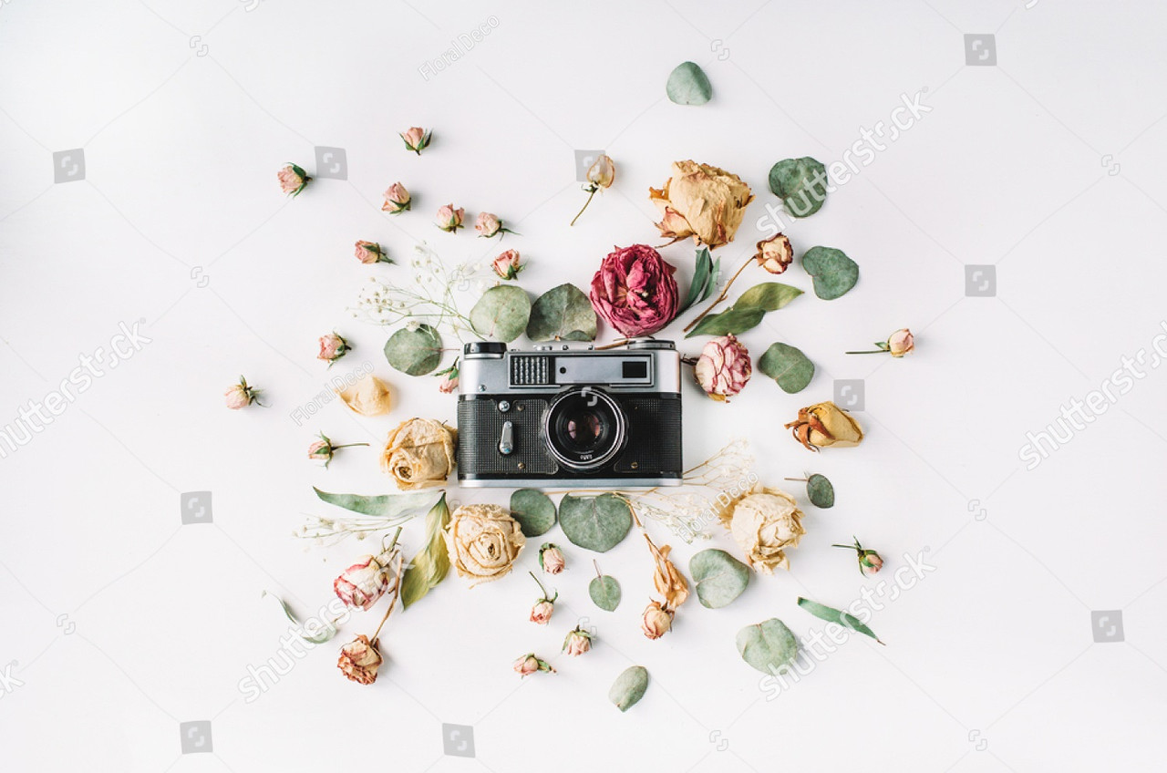 Декоративные фотообои с изображением ретро фотоаппарата среди роз