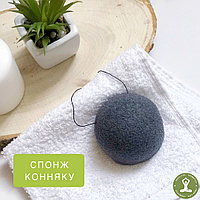 СПОНЖ КОННЯКУ