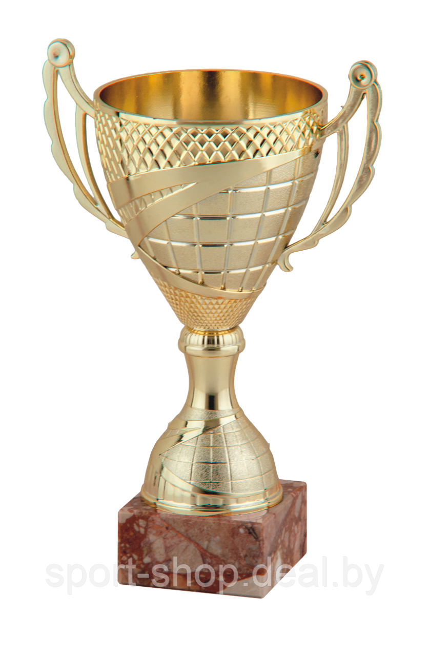 Кубок наградной  27 cm G9325/B,кубок,награда,кубок спортивный,медали,наградной кубок,наградная продукция