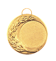 Медаль Золото 40mm Z87