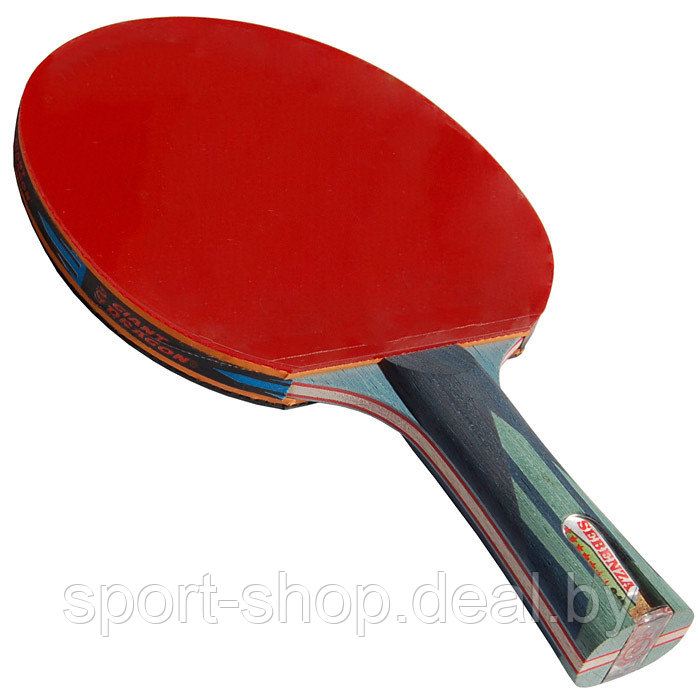 Ракетка для настольного тенниса Giant Dragon Sebenza EDC7001,ракетка,ракетка для тенниса, ракетка теннис - фото 3 - id-p103990255