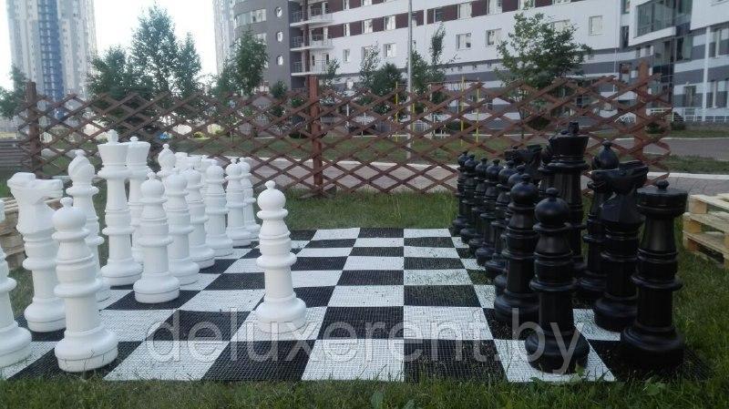 Большие шахматы и шашки аренда - фото 2 - id-p103996047