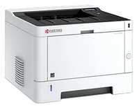 Принтер Kyocera ECOSYS P2040dn 1102RX3NL0