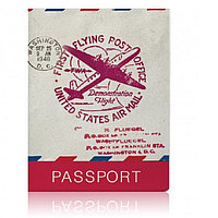 Обложка для паспорта «Flying post»