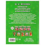 Большая энциклопедия дошкольника М. А. Жукова , "Умка", твёрдый переплёт., фото 5