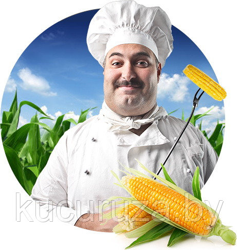 Бизнес по продаже горячей кукурузы