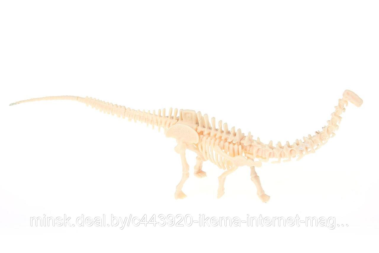 Набор для раскопок «ЮНЫЙ АРХЕОЛОГ» бронтозавр - фото 1 - id-p104107373