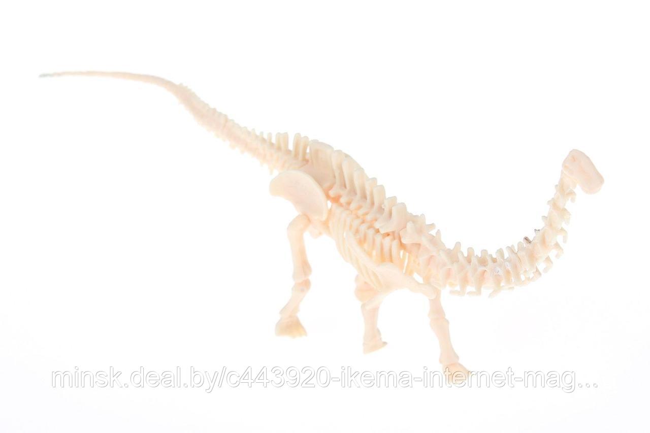 Набор для раскопок «ЮНЫЙ АРХЕОЛОГ» бронтозавр - фото 2 - id-p104107373