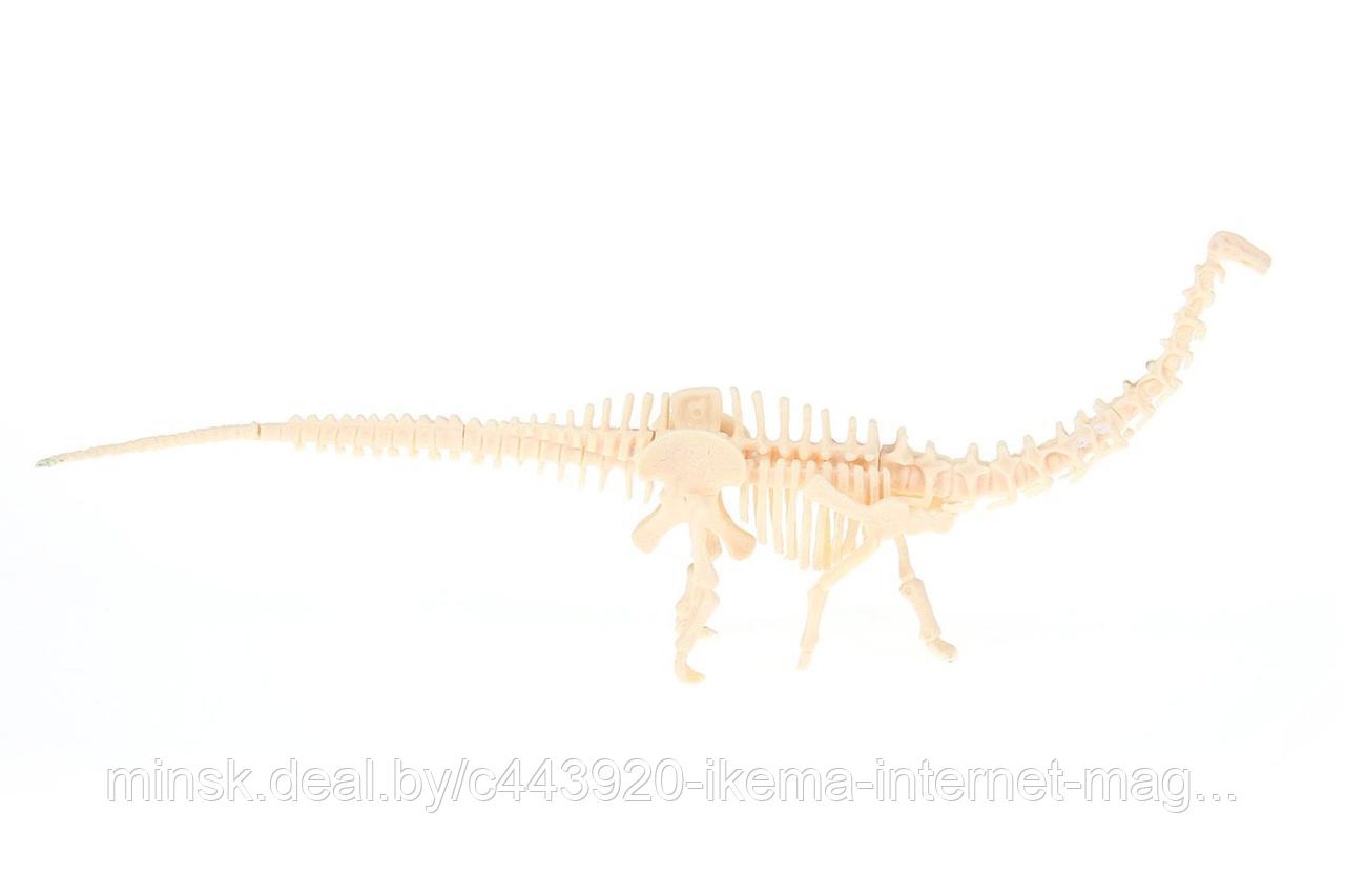 Набор для раскопок «ЮНЫЙ АРХЕОЛОГ» бронтозавр - фото 3 - id-p104107373