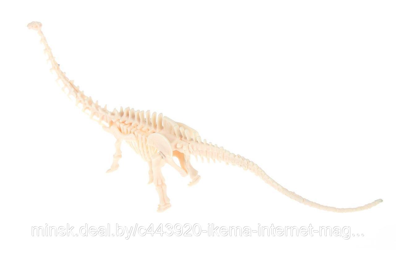 Набор для раскопок «ЮНЫЙ АРХЕОЛОГ» бронтозавр - фото 4 - id-p104107373