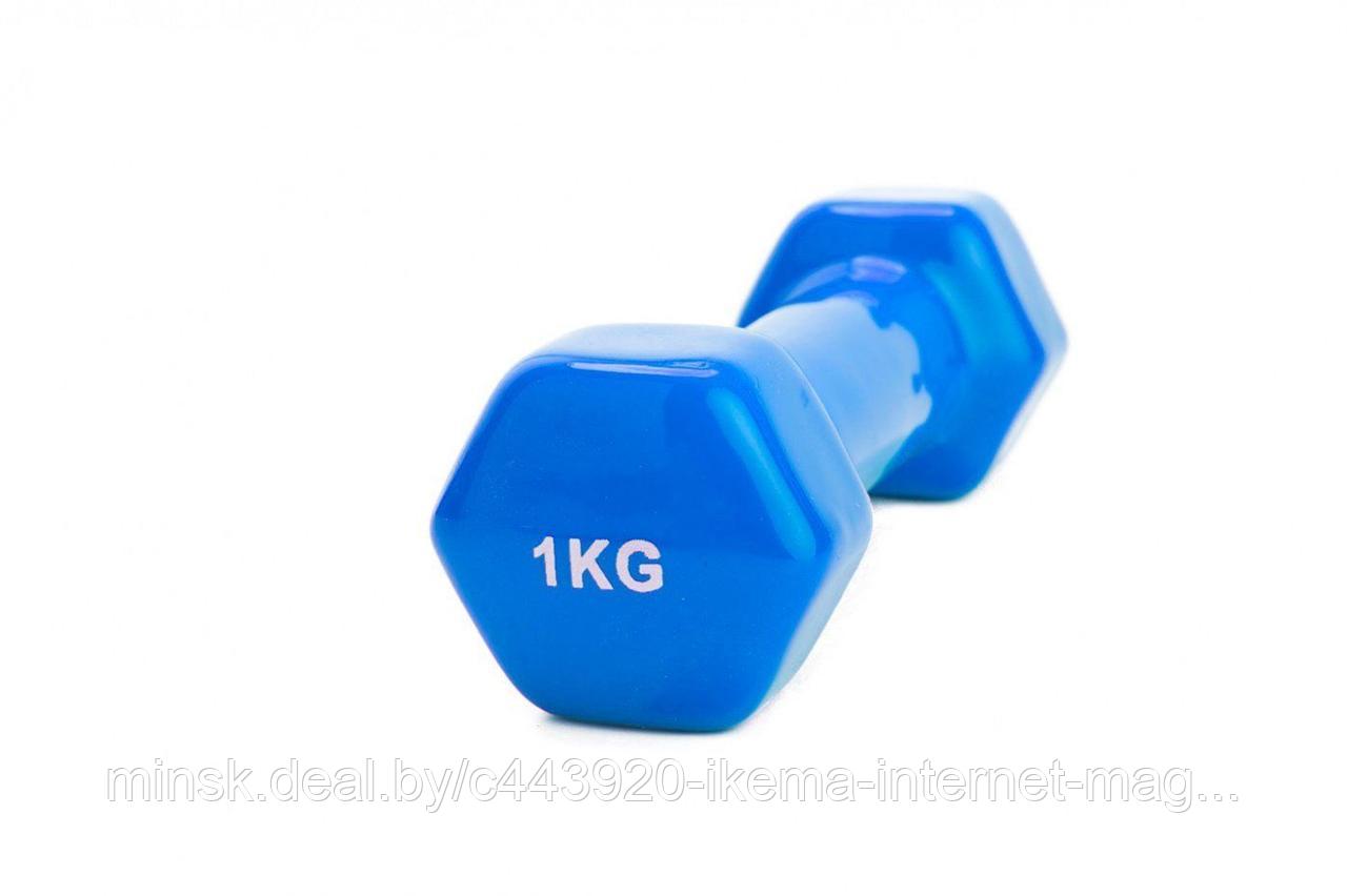 Гантель обрезиненная 1 кг, синяя - фото 1 - id-p104112871