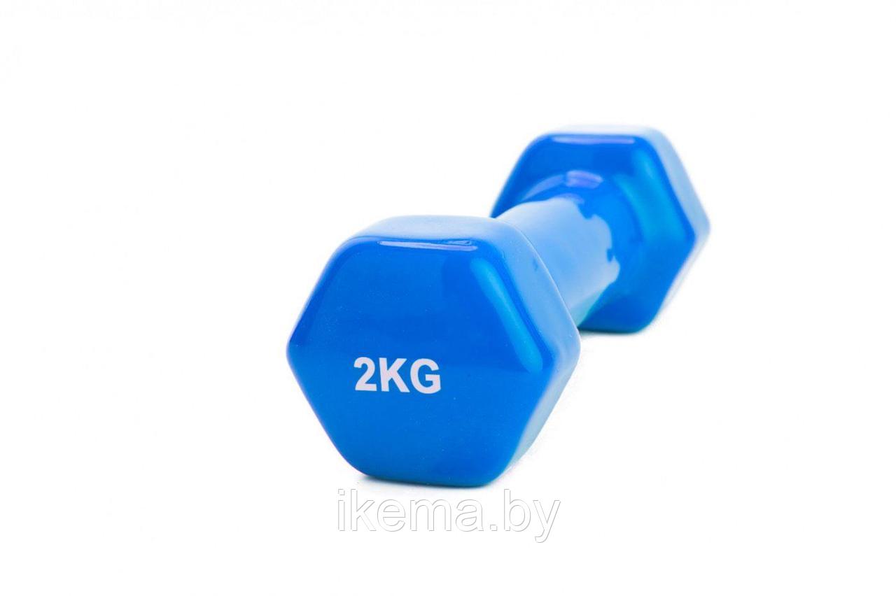 Гантель обрезиненная 2 кг, синяя - фото 1 - id-p104112872