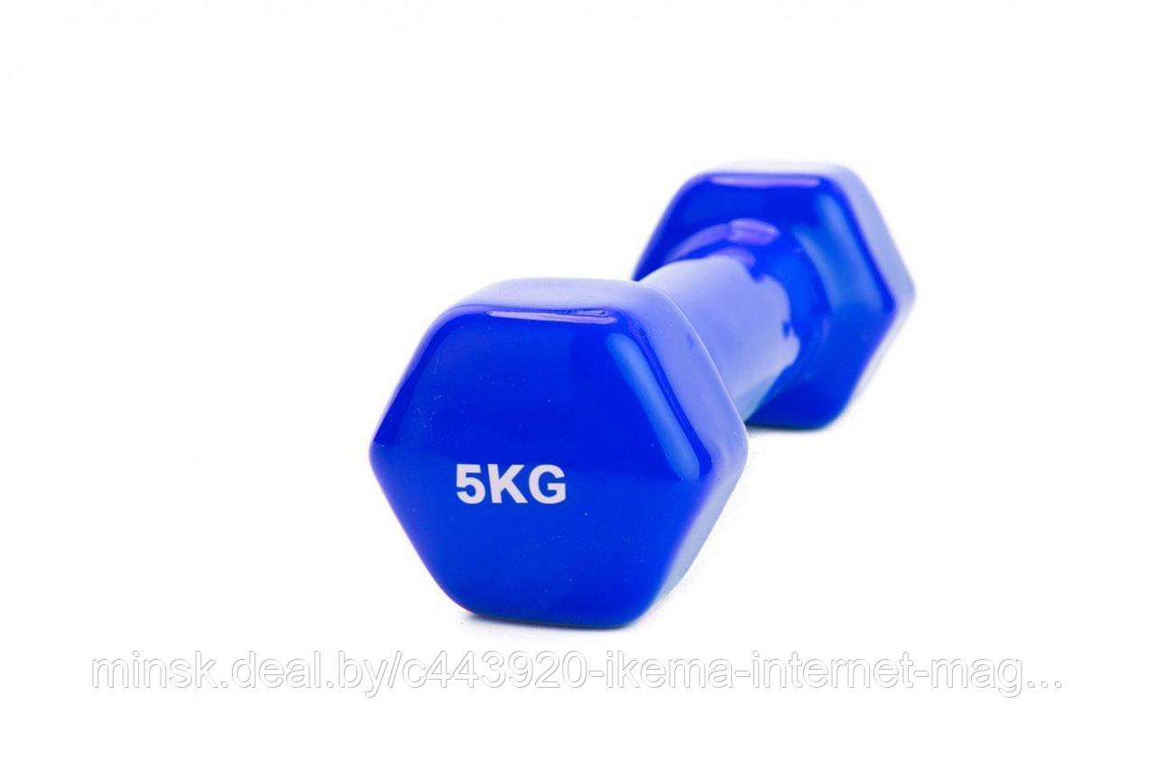 Гантель обрезиненная 5 кг, синяя - фото 1 - id-p104112875