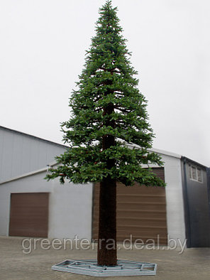 Новогоднее дерево "Сосна" 16 - 20 м, фото 2