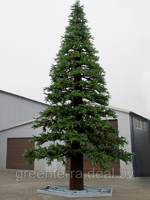 Новогоднее дерево "Сосна Экстра" 8 - 10 м, фото 2
