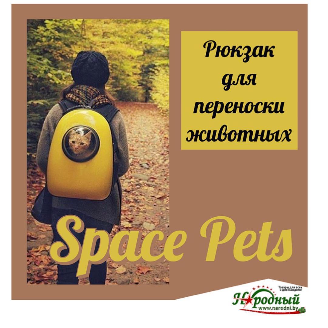Рюкзак для животных Space Pets - фото 1 - id-p88834286