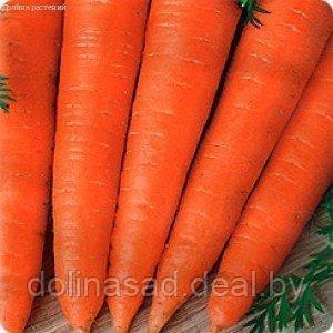 Гавриш Морковь Красный великан (Роте Ризен)