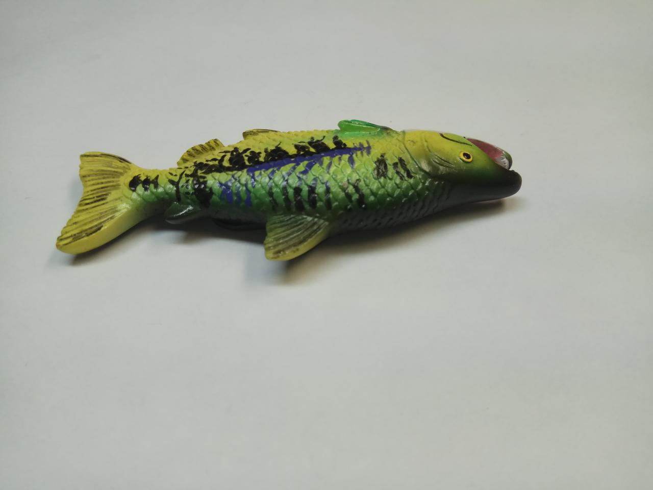 Сувенир-магнит (рыба горбуша). - фото 3 - id-p104200422
