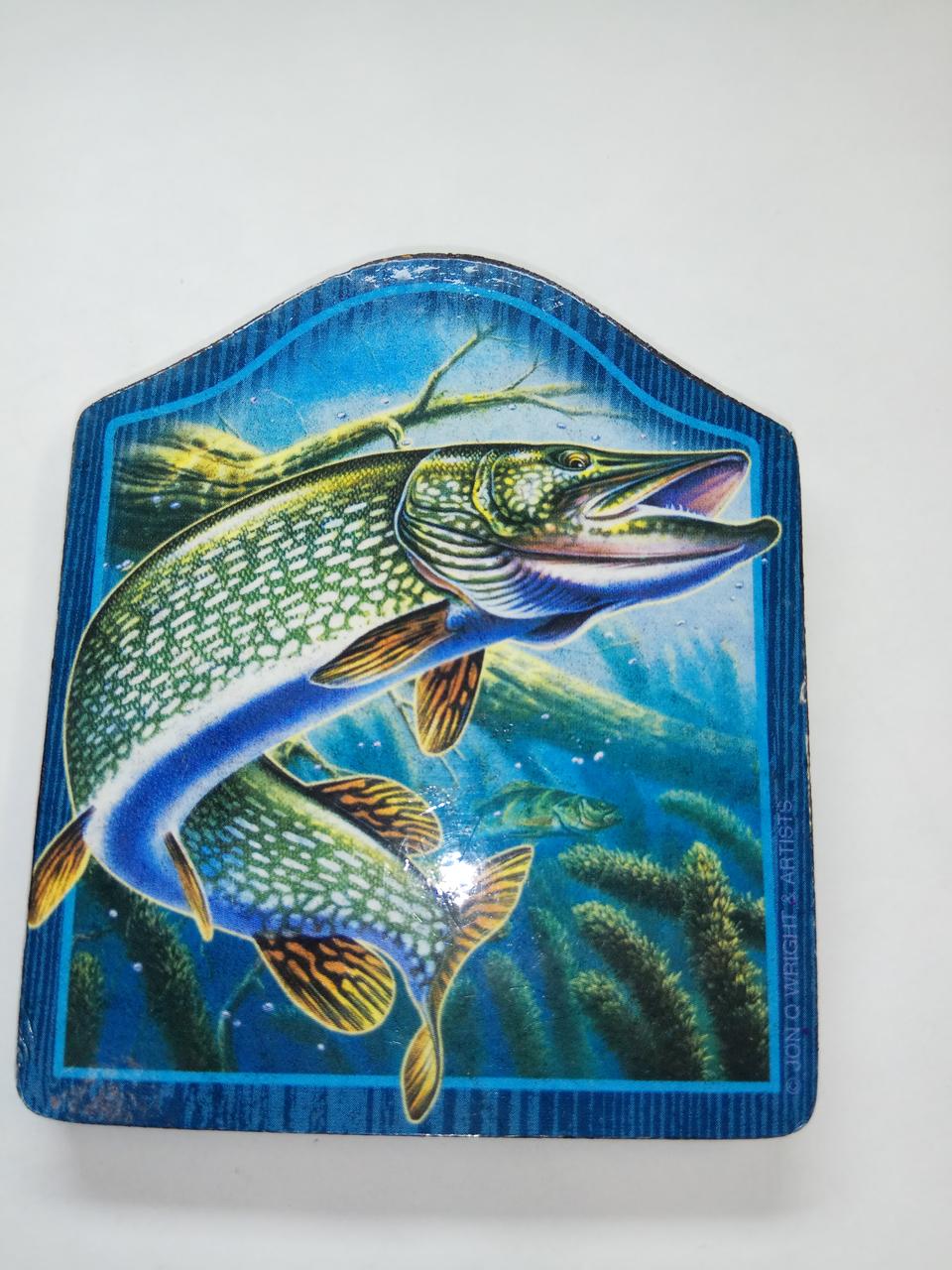 Сувенир-магнит табличка (рыба). - фото 1 - id-p104203518