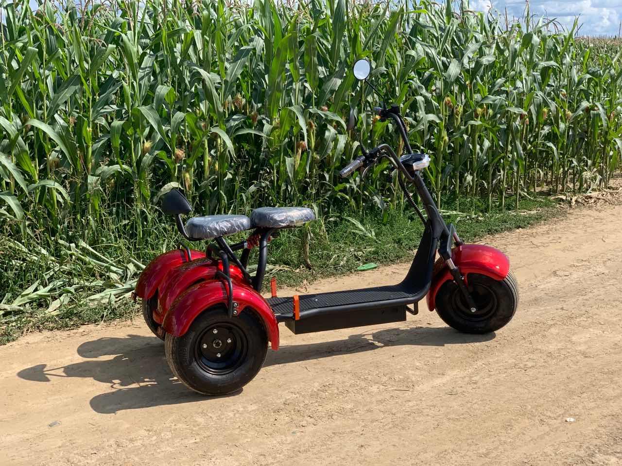 Электроскутер СITYCOCO SMD3 3WHEELS