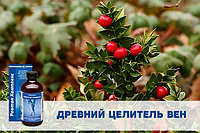 Древний целитель вен.