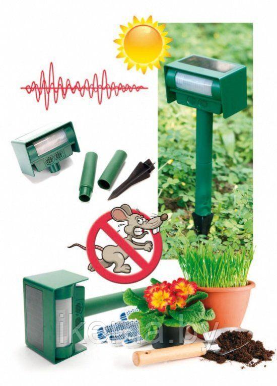 Прибор для отпугивания животных ультразвуковой на солнечной батарее - фото 1 - id-p104248765