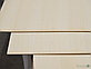 МДФ плита шпонированная Ясенем Белым 4 мм Асом/В 2,80х2,07 м (Losan), фото 2