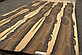 Натрульный шпон Зирикоте Logs - 0,55 мм от 2,10 м до 2,55 м/10 см+, фото 2