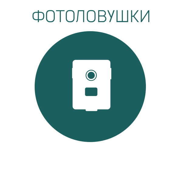 Фотоловушки Филин купить в Минске, цены на фотоловушки в Boatshop.by