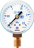 Манометр сварочный ТМ-110Р.00(0-2,5MPa)M12х1,5.2,5 O2