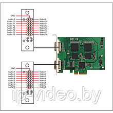 FX-16 / SC310N16